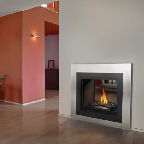 Ascent Multi-View gas fireplace